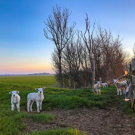 Bosruiter - Texel בית נופש