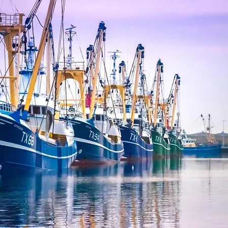 בית נופש Bosruiter - Texel דה קוח