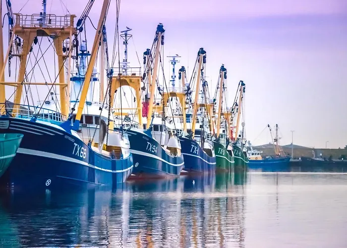 Ferienhaus Bosruiter - Texel De Koog (Texel)