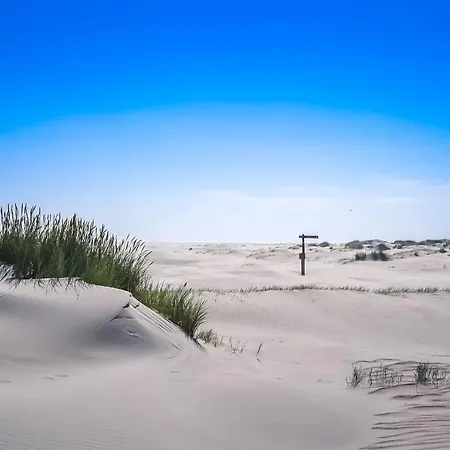 Bosruiter - Texel Feriehus